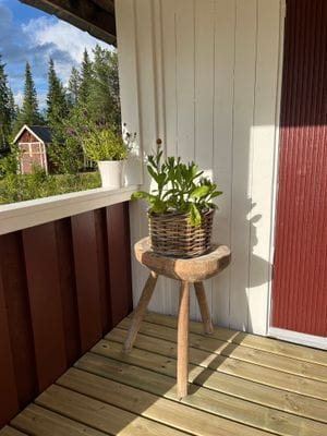 Mysig stuga i svenska Lappland - Bild 6
