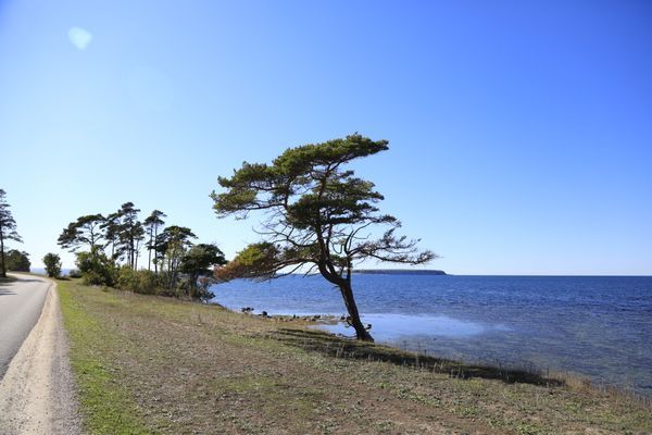 Nybyggt Gotländskt stenhus på Ekstakusten - Bild 18