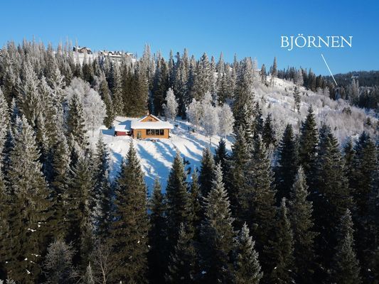 Mysig fjällstuga med ski-in/ski-out 🏔️