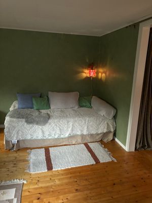 Mysig stuga vid sjön Båven - Bild 12