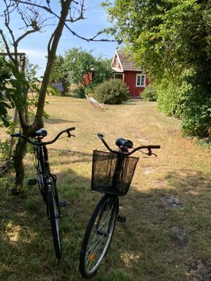 Ölandsidyll nära havet - Bild 6