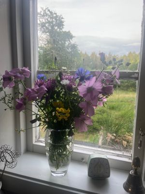 Lantlig torpidyll med saltvattenpool - Bild 47