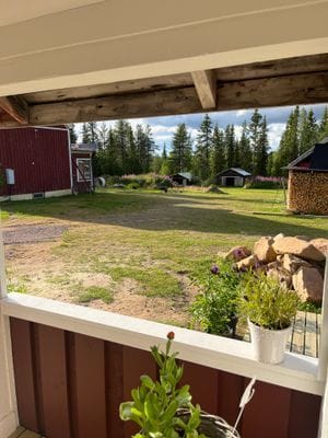Mysig stuga i svenska Lappland - Bild 15