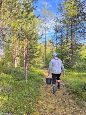 Mysig stuga i svenska Lappland - Bild 17