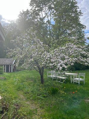 Bild 4 på Lantlig torpidyll med saltvattenpool