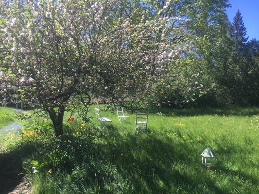 Lantlig torpidyll med saltvattenpool - Bild 23