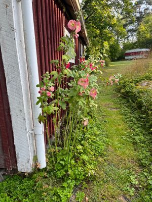 Lantlig torpidyll med saltvattenpool - Bild 22