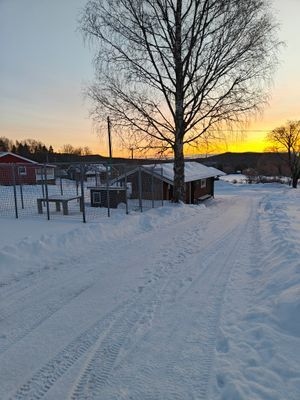 Timmerstuga med utsikt och bastu - Bild 22