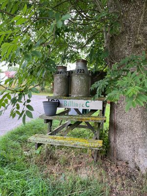 Lantlig torpidyll med saltvattenpool - Bild 56