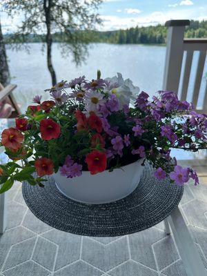 Stuga med sjötomt - Bild 37