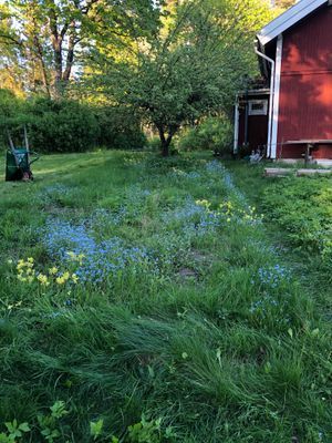 Lantlig torpidyll med saltvattenpool - Bild 20