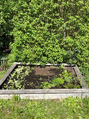 Lantlig torpidyll med saltvattenpool - Bild 16