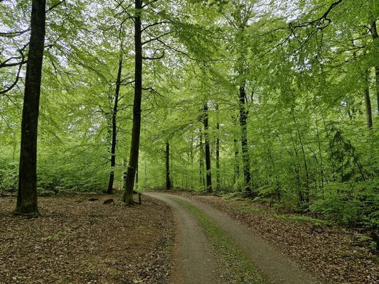 Retreat Kerstins stuga - Bild 10