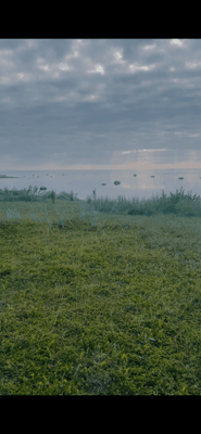 Strandnära gäststuga - Bild 12