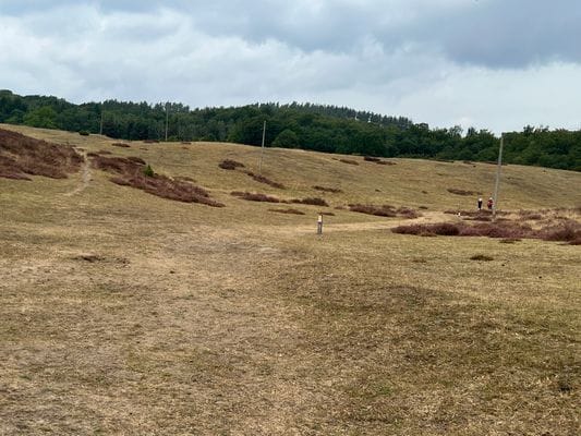 Stuga vid naturreservat - Bild 14