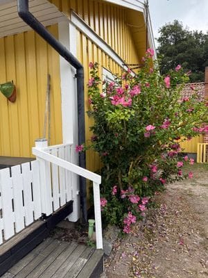 Hyr denna stuga i Borrby på 90 m². 6 sängplatser. Pris ej tillgängligt. Se bilder och tillgänglighet här.