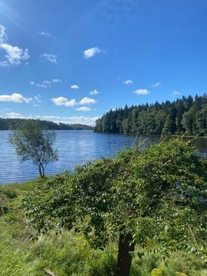 Sommardröm med privat strand