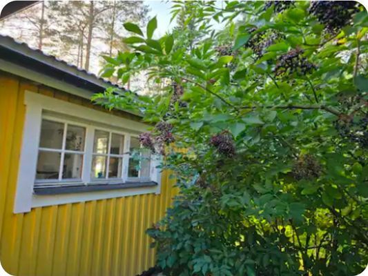 En idyllisk tillflykts plats vid sjön - Bild 22