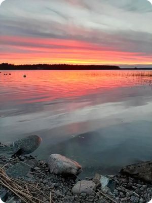 En idyllisk tillflykts plats vid sjön - Bild 28