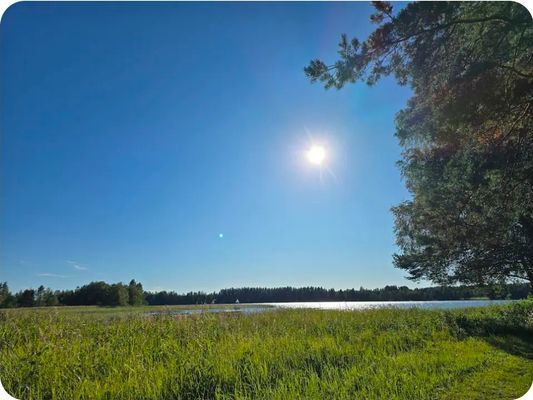 En idyllisk tillflykts plats vid sjön - Bild 27