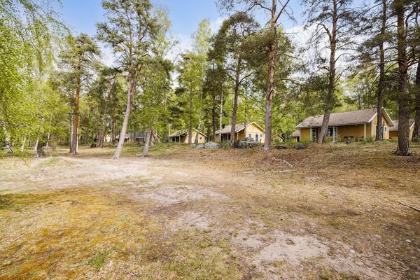 Mysig stuga vid stranden - Bild 28