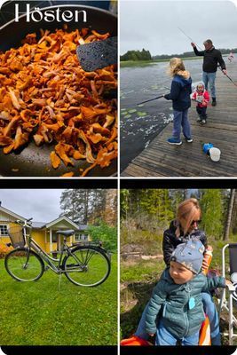 En idyllisk tillflykts plats vid sjön - Bild 35