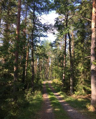 Hyr denna stuga i Gnesta på 50 m². 2-3 sängplatser. Från 850 kr per dag. Se bilder och tillgänglighet här.