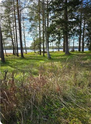 En idyllisk tillflykts plats vid sjön - Bild 25