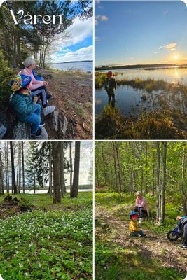En idyllisk tillflykts plats vid sjön - Bild 34