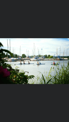 Villa 35 min från Kolmårdens Djurpark - Bild 10
