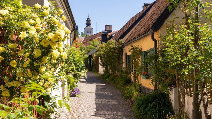 Bild 4 på Mysigt gårdshus i södra Visby