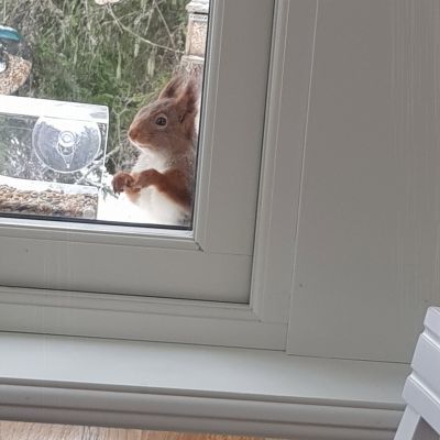 Nyrenoverad stuga i Hemfjällstangen - Bild 9