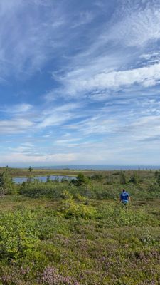 Nyrenoverad stuga i Hemfjällstangen - Bild 10