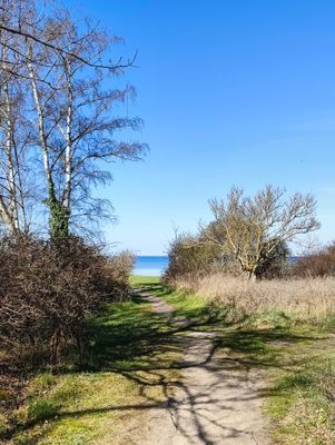 Hus med pool fem min till havet - Bild 7