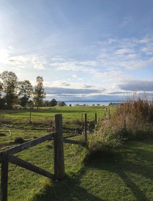 Stuga/Torp 6 km norr om Gränna - Bild 9