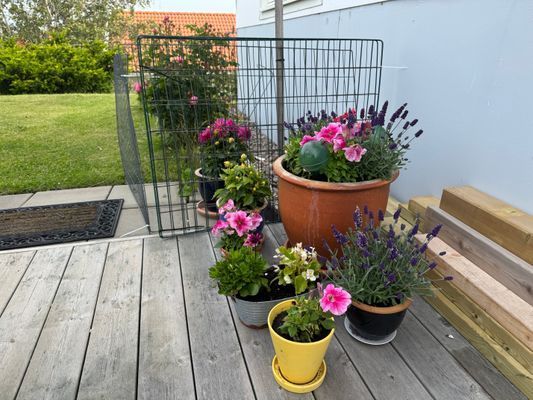 Villa på Fisketången i Kungshamn - Bild 7