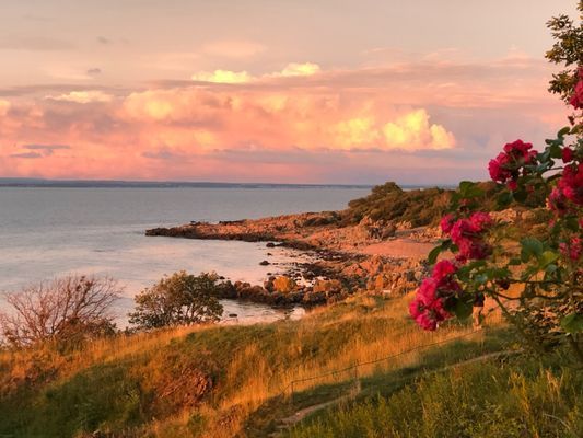 Stort familjehus på bästa läge i Arild - Bild 7