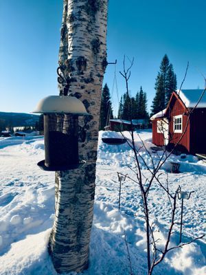 Bo med sjö- och fjällutsikt – året runt äventyr!