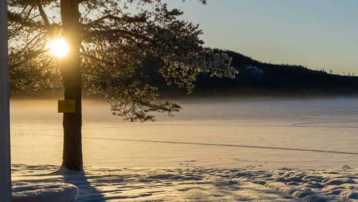 Rymlig 4p stuga med öppen spis i badort - Bild 45