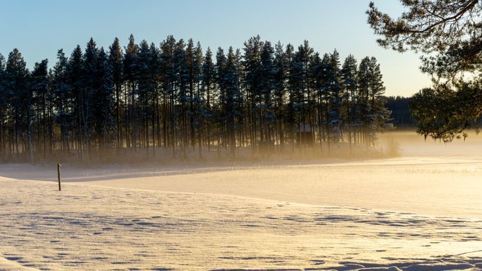 Rymlig 4p stuga med öppen spis i badort - Bild 46