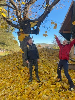 Rymlig 4p stuga med öppen spis i badort - Bild 66