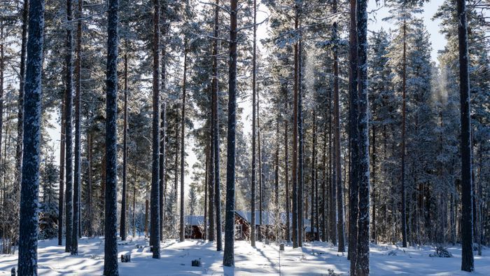 Rymlig 4p stuga med öppen spis i badort - Bild 70