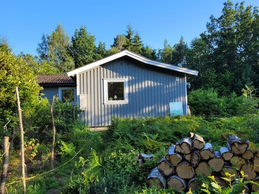 Tallstugan Lyckorna - Bild 25