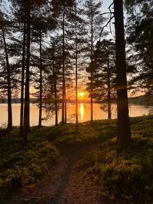 Bild 3 på Sommaridyll vid Norasjön!