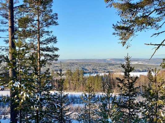 Rymlig 4p stuga med öppen spis i badort - Bild 51
