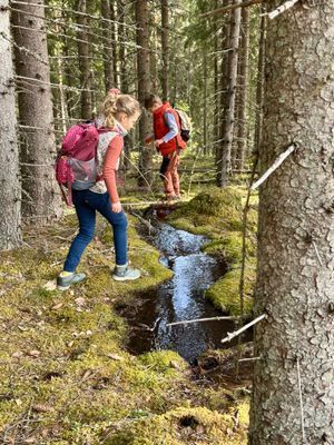 Rymlig 4p stuga med öppen spis i badort - Bild 56