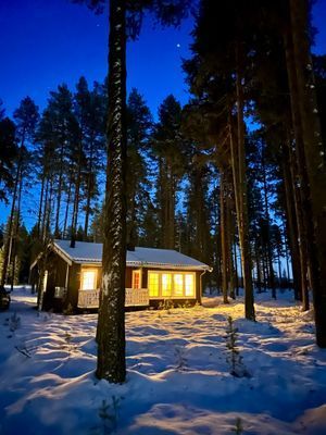 Rymlig 4p stuga med öppen spis i badort - Bild 54