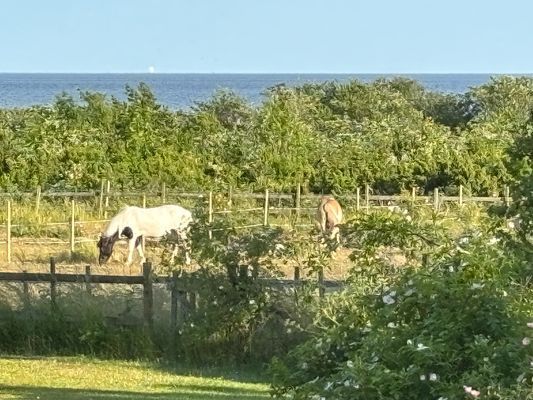 Hyr denna stuga i Herta på 140 m². 10 sängplatser. Pris ej tillgängligt. Se bilder och tillgänglighet här.