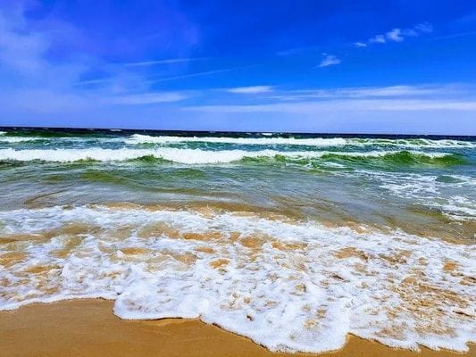 Yngsjö 80 m till havet och Sveriges längsta strand - Bild 10
