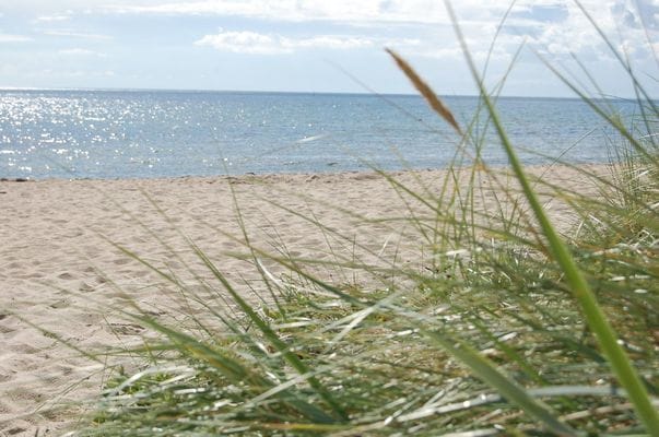 Yngsjö 80 m till havet och Sveriges längsta strand